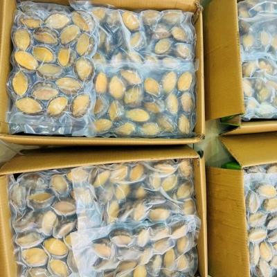 Bào ngư Abalone thùng xanh Size 12Con/1Kg
