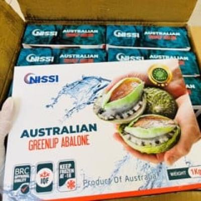 Bào ngư Úc Viền Xanh ( NISSI)