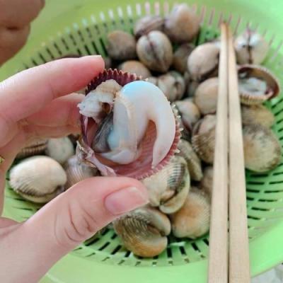 Bỏ Sỉ Sò Voi Tươi Sống TpHCM