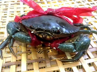 CUA THỊT KHÔNG DÂY 3 CON 1kg