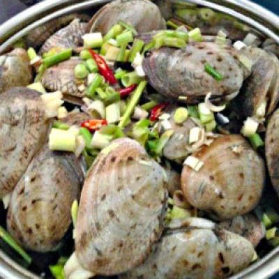 Ngao hai cùi giá sỉ