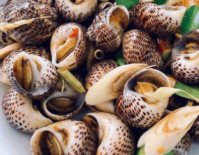 Ốc bông giá rẻ, chất lượng tại tphcm - Hải sản vifoods ship tận nơi