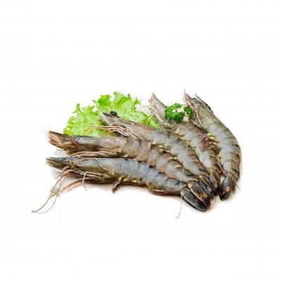 Tôm sú nguyên con đông lạnh Size 40-50 con/kg